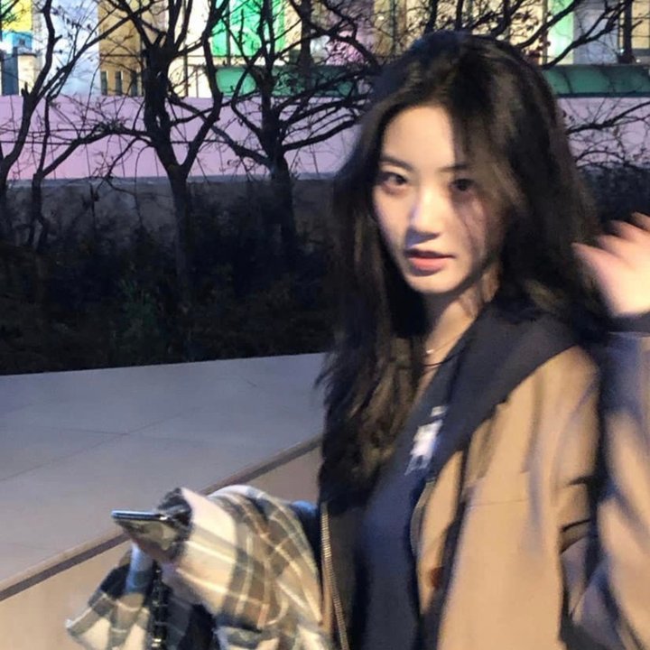 尘埃的女儿
